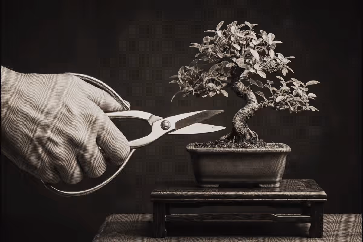 Cómo ser un buen líder: menos cualidades que cultivar, más errores que soltar